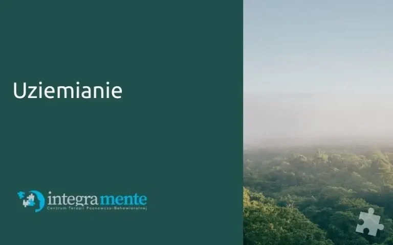 Mglisty krajobraz lasu